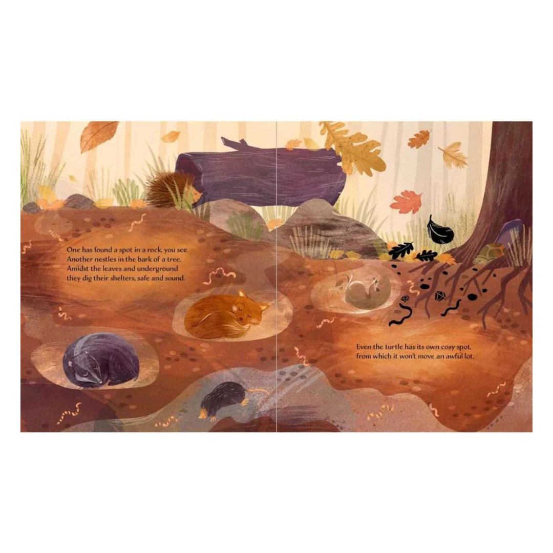 Sassi - Autumn Story Book - Image 3